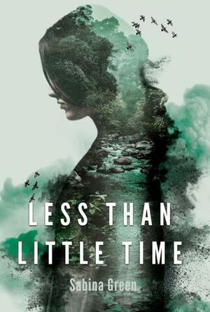 Less Than Little Time by Sabina Green