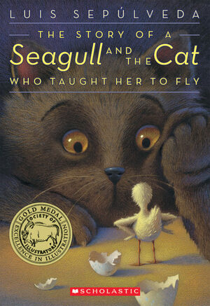 The Story of a Seagull and the Cat Who Taught Her to Fly by Luis Sepúlveda