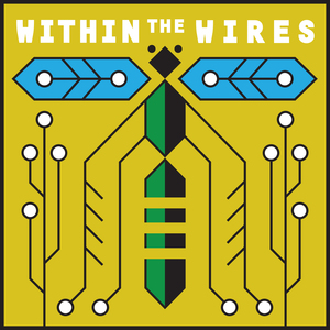 Within the Wires: Relaxation Cassettes by Jeffrey Cranor, Janina Matthewson