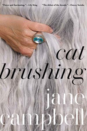 Cat Brushing by Jane Campbell