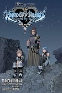 Kingdom Hearts Birth by Sleep: The Novel by Tetsuya Nomura, Tomoco Kanemaki