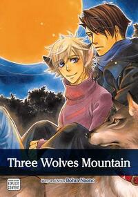 Three Wolves Mountain by Bohra Naono