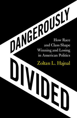 Dangerously Divided: How Race and Class Shape Winning and Losing in American Politics by Zoltan L. Hajnal