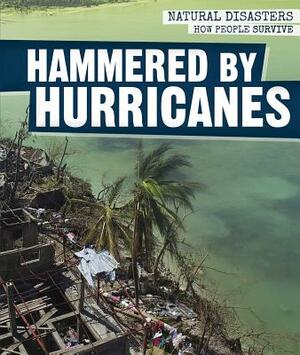 Hammered by Hurricanes by Melissa Rae Shofner