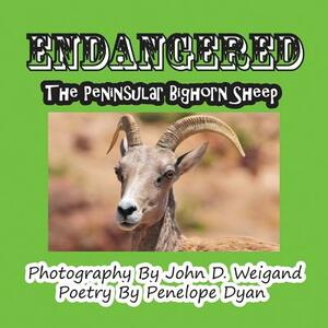 Endangered--The Peninsular Bighorn Sheep by John D. Weigand, Penelope Dyan