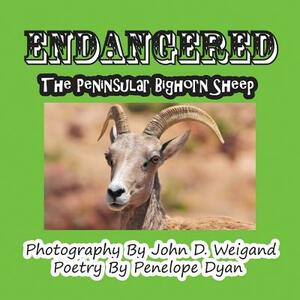 Endangered--The Peninsular Bighorn Sheep by Penelope Dyan, John D. Weigand