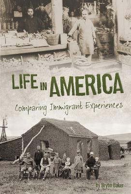 Life in America: Comparing Immigrant Experiences by Brynn Baker