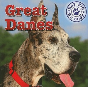 Great Danes by Kristen Rajczak