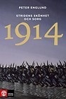 Stridens skönhet och sorg 1914 : första världskrigets inledande år i 68 korta kapitel by Peter Englund