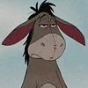 bee_wallflower's profile picture