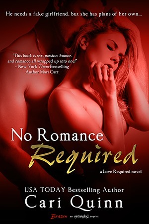 No Romance Required by Cari Quinn