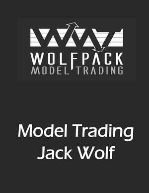 Model Trading: If I'm such a good trader, why am I writing a book? by Jack Wolf