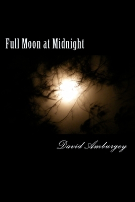 Full Moon at Midnight by David Amburgey