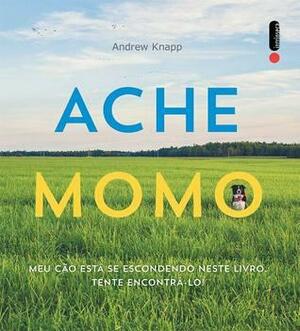Ache Momo by Andrew Knapp