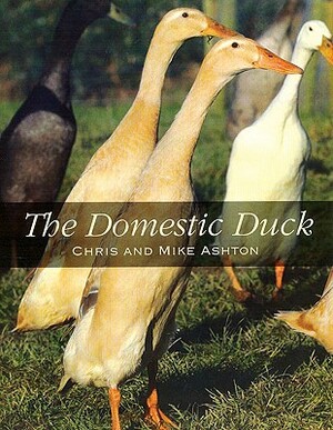 The Domestic Duck by Chris Ashton, Mike Ashton