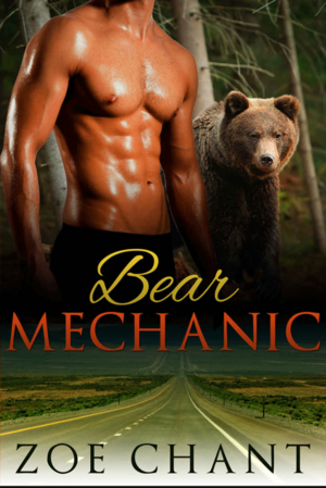 Bear Mechanic by Zoe Chant