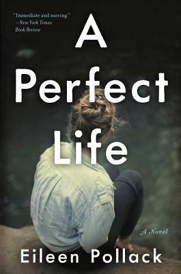 A Perfect Life by Eileen Pollack