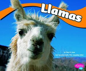 Llamas by Mary R. Dunn