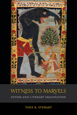 Witness to Marvels, Volume 2: Sufism and Literary Imagination by Tony K. Stewart