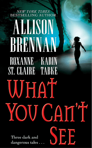 What You Can't See by Karin Tabke, Allison Brennan, Roxanne St. Claire