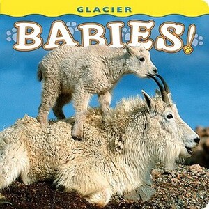 Glacier Babies! by Bob Rozinski, Wendy Shattil