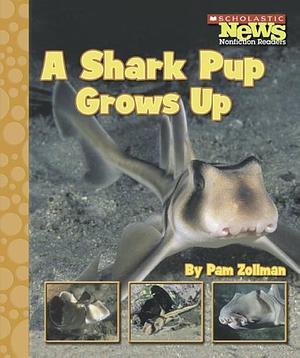 A Shark Pup Grows Up by Pam Zollman