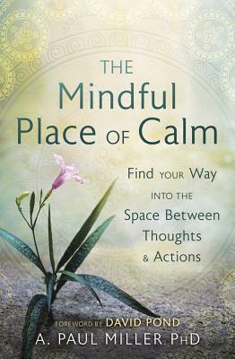 The Mindful Place of Calm: Find Your Way Into the Space Between Thoughts & Actions by A. Paul Miller