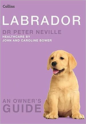 Labrador by Peter Neville