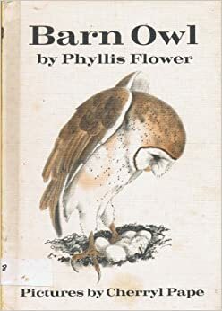 Barn Owl by Phyllis Flower