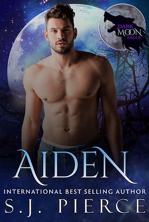 Aiden by S.J. Pierce