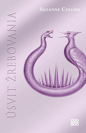 Úsvit žrebovania by Suzanne Collins