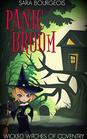 Panic Broom by Sara Bourgeois