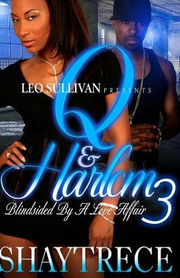 Q and Harlem 3: Blindsided By A Love Affair by Shaytrece