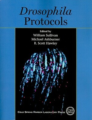 Drosophila Protocols by Michael Ashburner, R. Scott Hawley, W. Sullivan