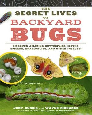 The Secret Lives of Backyard Bugs: Discover Amazing Butterflies, Moths, Spiders, Dragonflies, and Other Insects! by Judy Burris, Wayne Richards