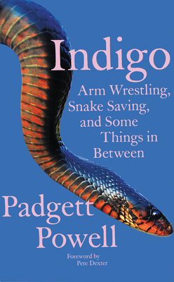 Indigo by Padgett Powell