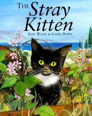 The Stray Kitten by Judy Waite