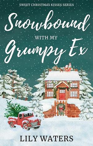 Snowbound With My Grumpy Ex by Lily Waters