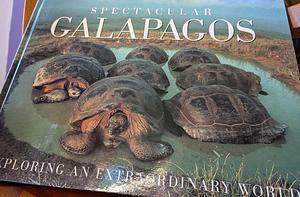 Spectacular Galapagos  by Tui De Roy