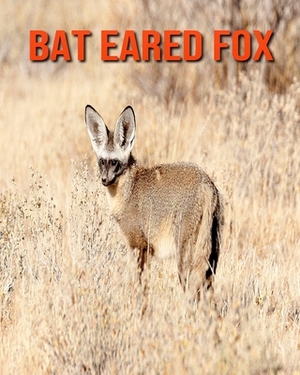 Bat Eared Fox: Incredible Pictures and Fun Facts about Bat Eared Fox by William Doyle