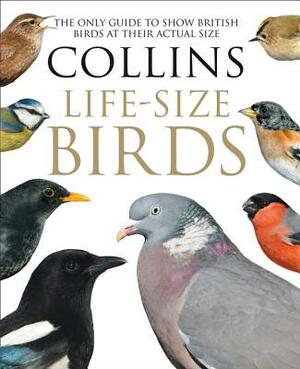 Collins Life-Size Birds: The Only Guide to Show British Birds at Their Actual Size by Rob Read, Paul Sterry