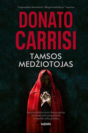 Tamsos medžiotojas by Lina Gaučytė, Donato Carrisi