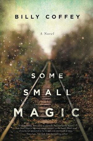 Some Small Magic by Billy Coffey