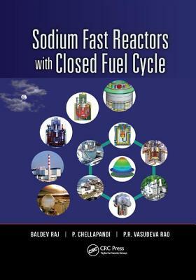 Sodium Fast Reactors with Closed Fuel Cycle by P. Chellapandi, Baldev Raj, P. R. Vasudeva Rao