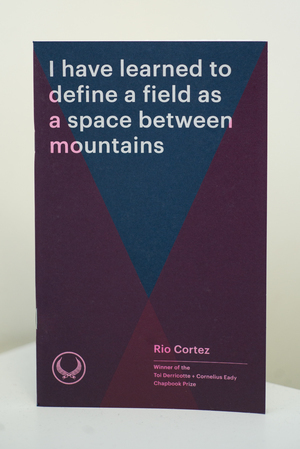 I Have Learned to Define a Field as a Space Between Mountains by Rio Cortez