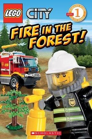 Fire in the Forest! by Samantha Brooke, Samantha Brooke