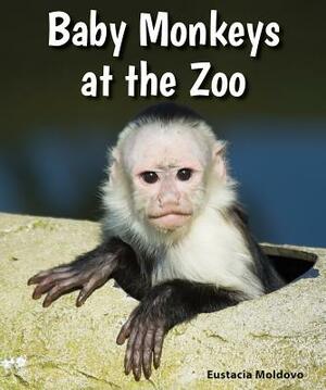 Baby Monkeys at the Zoo by Eustacia Moldovo