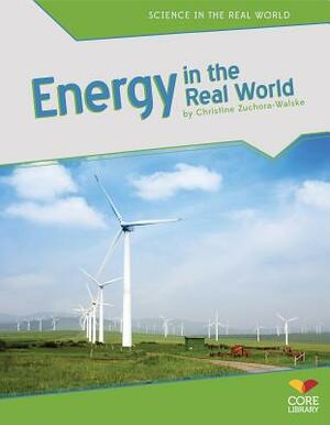 Energy in the Real World by Christine Zuchora-Walske