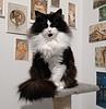 logarithm's profile picture