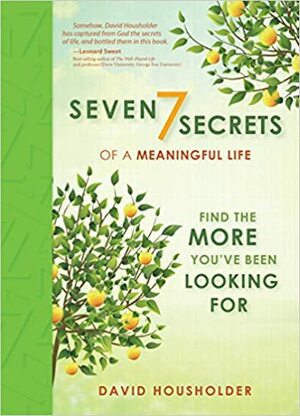 Seven Secrets of a Meaningful Life: Find the More You've Been Looking For by David Housholder